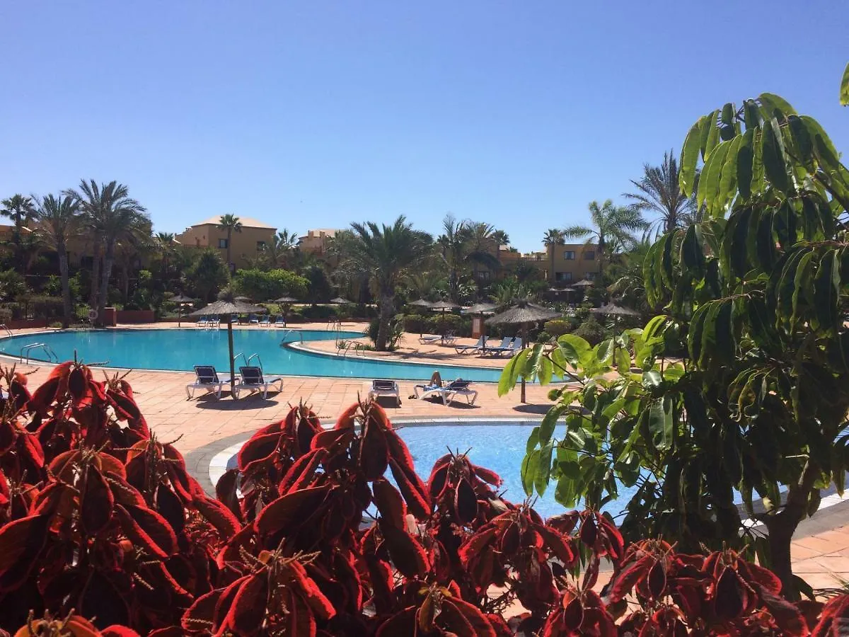 Appartamento My Pretty Home - Lovely And Spacious Surrounded By Tropical Gardens - Private Covered And Uncovered Terrace - Pool - Parking - Free Fibre Optic Internet Corralejo