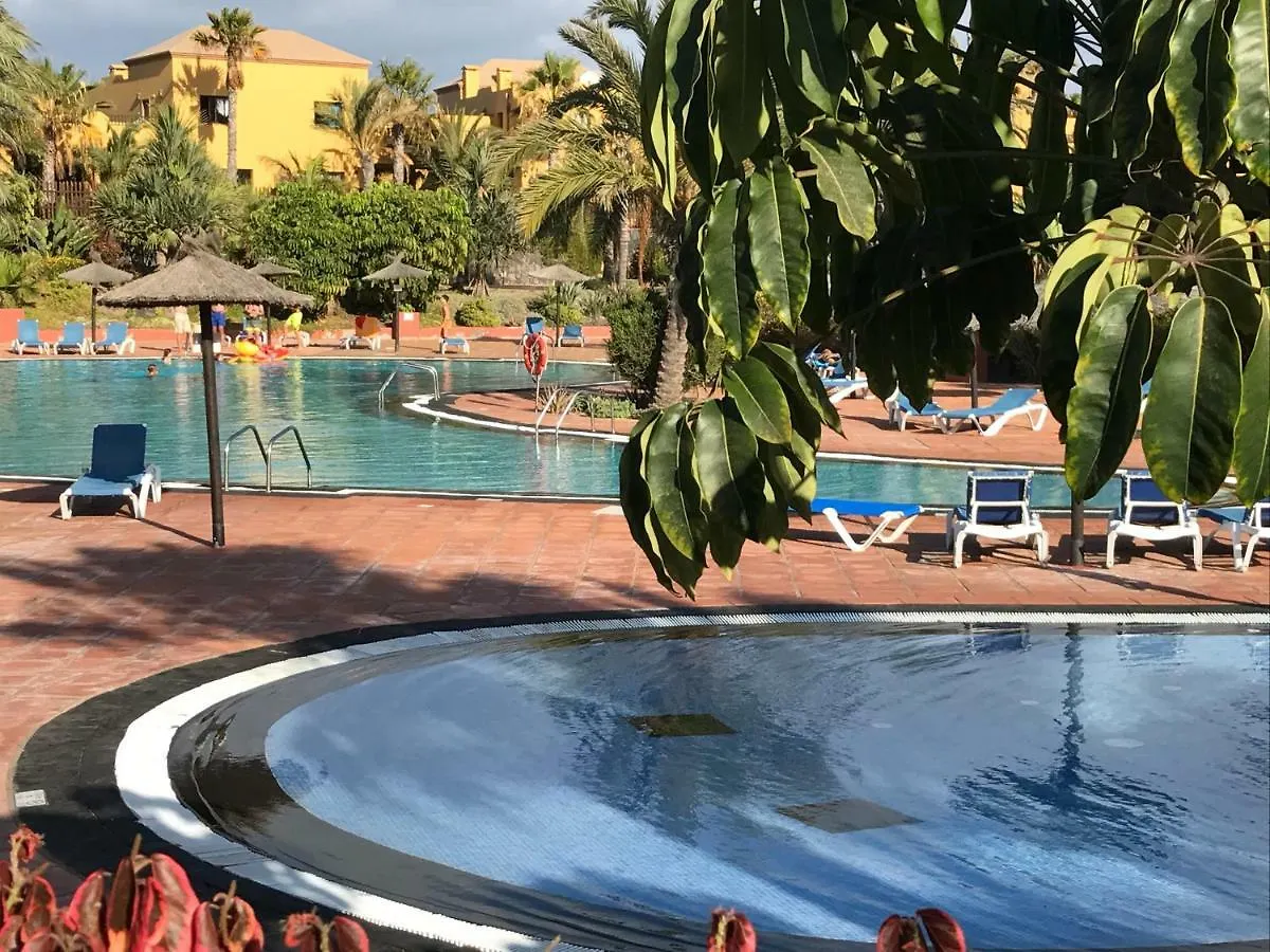 My Pretty Home - Lovely And Spacious Surrounded By Tropical Gardens - Private Covered And Uncovered Terrace - Pool - Parking - Free Fibre Optic Internet Corralejo 0*,