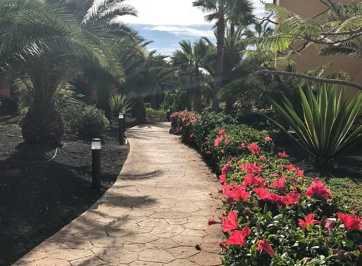 My Pretty Home - Lovely And Spacious Surrounded By Tropical Gardens - Private Covered And Uncovered Terrace - Pool - Parking - Free Fibre Optic Internet Corralejo Spagna