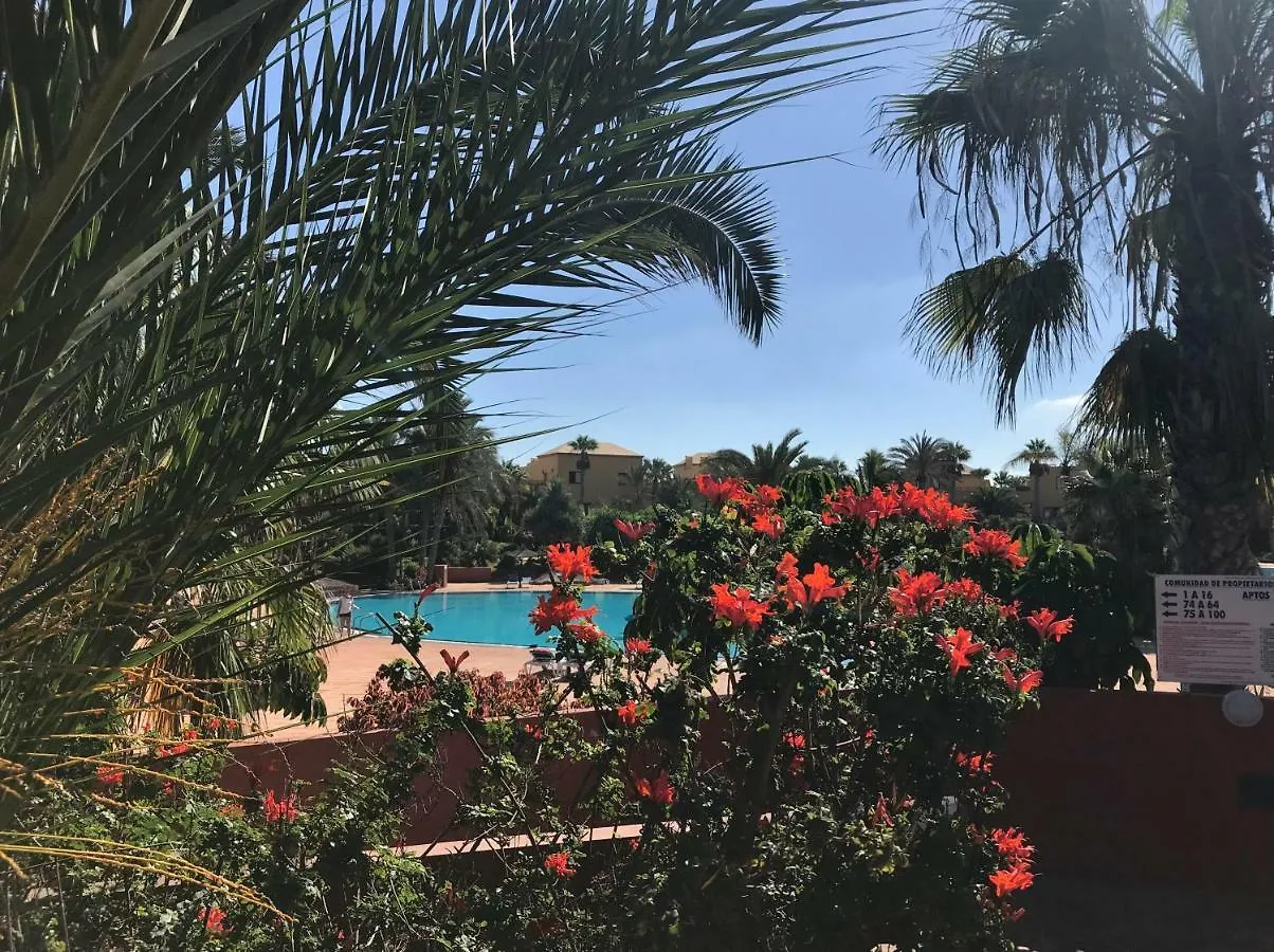Apartamento My Pretty Home - Lovely And Spacious Surrounded By Tropical Gardens - Private Covered And Uncovered Terrace - Pool - Parking - Free Fibre Optic Internet Corralejo